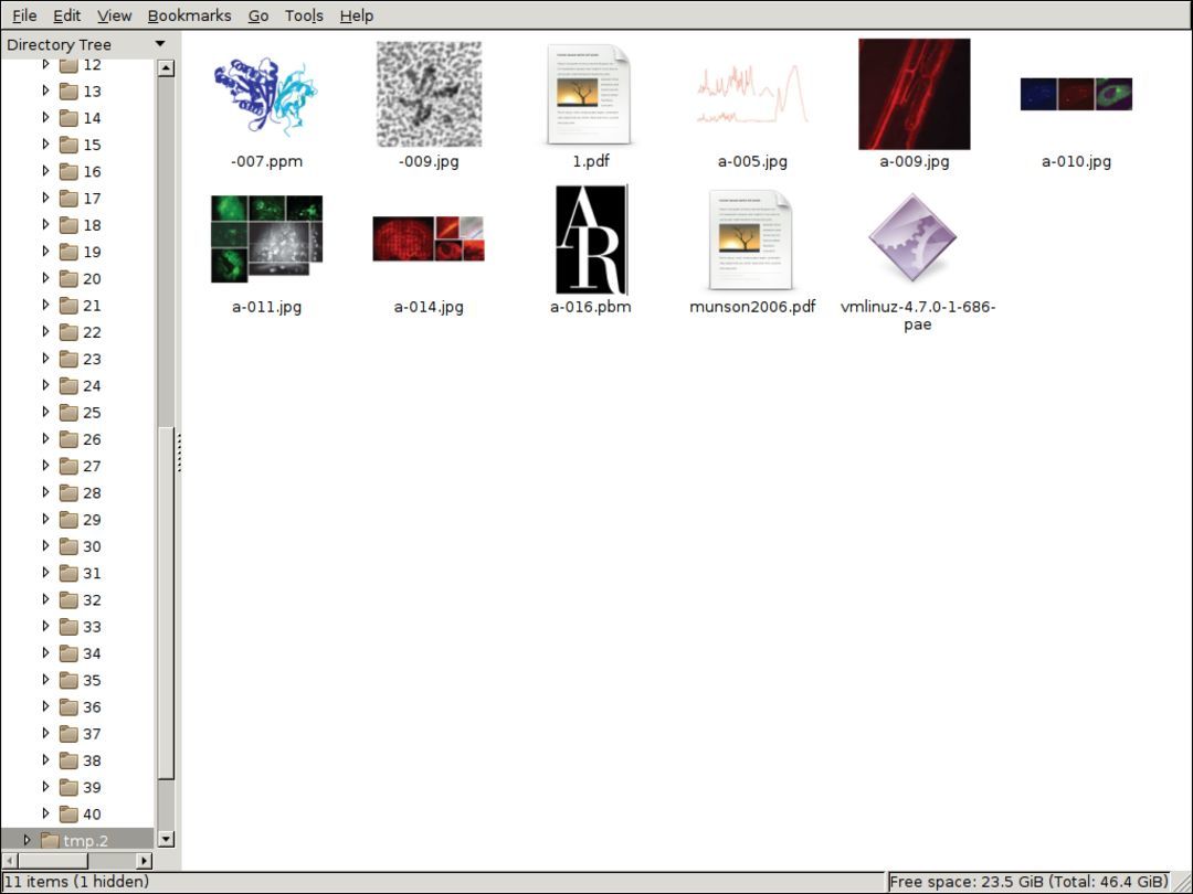 survey of x11 file manager image preview