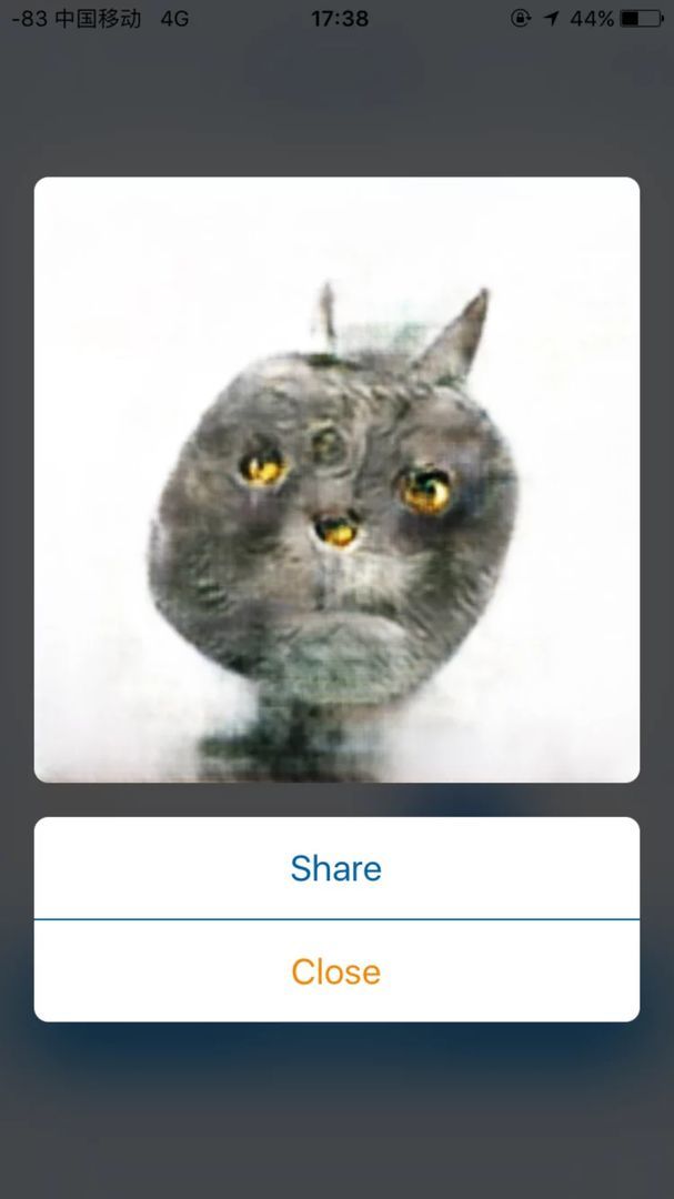 感谢这个app替我完成这么多畸形的猫