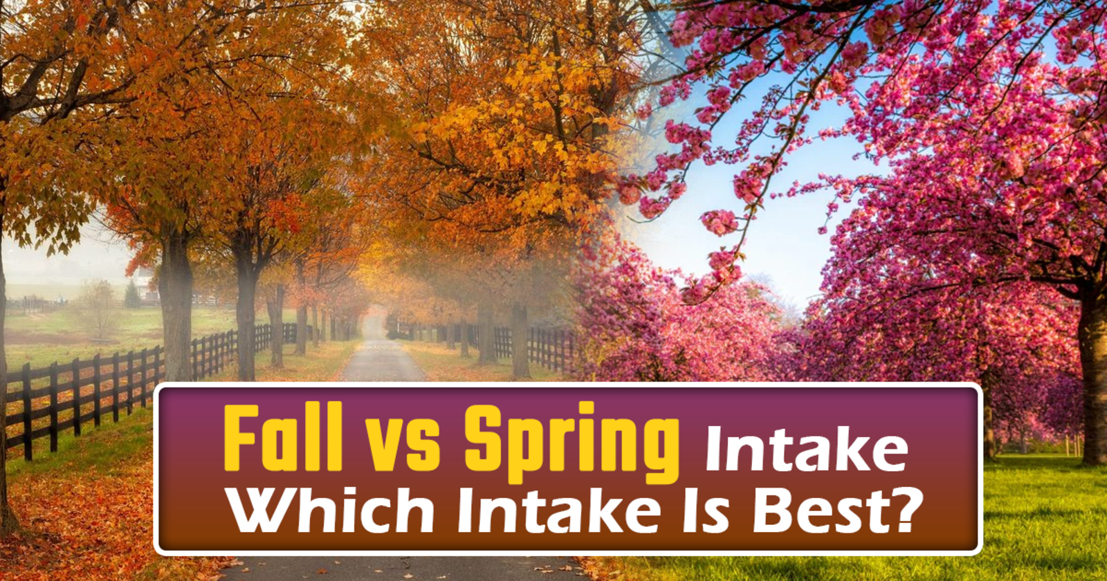 Fall vs Spring Intake: Which Intake Is Best?