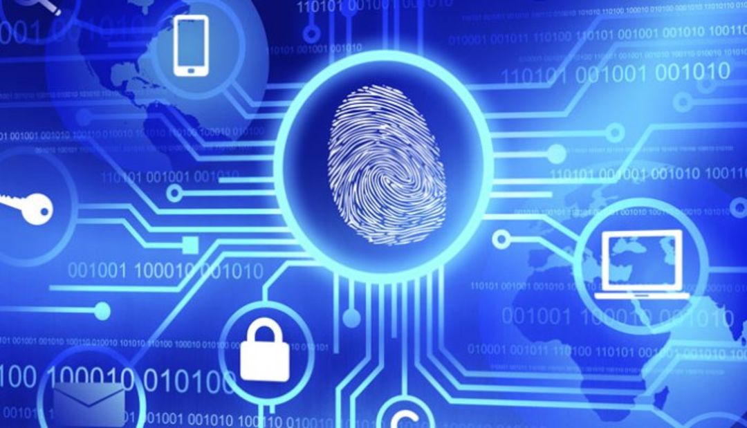 Online Info Blog: Role of identity verification