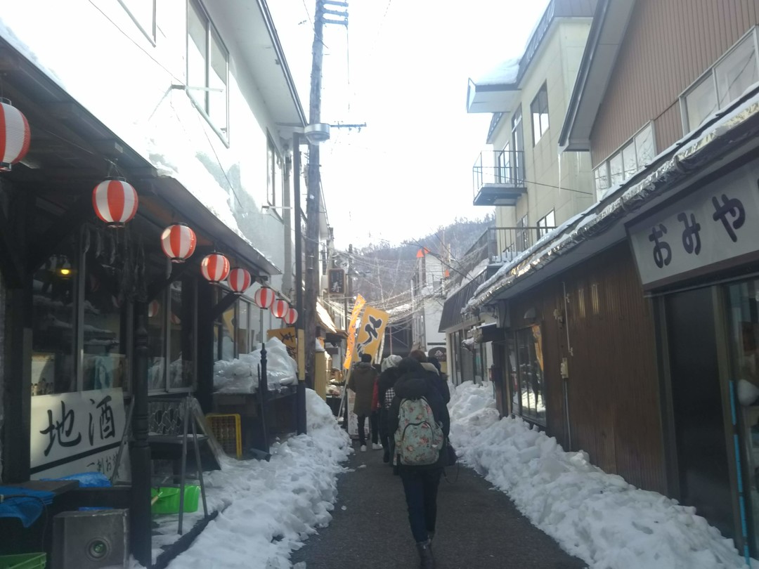 20190216 支笏湖-小樽-雪洞节